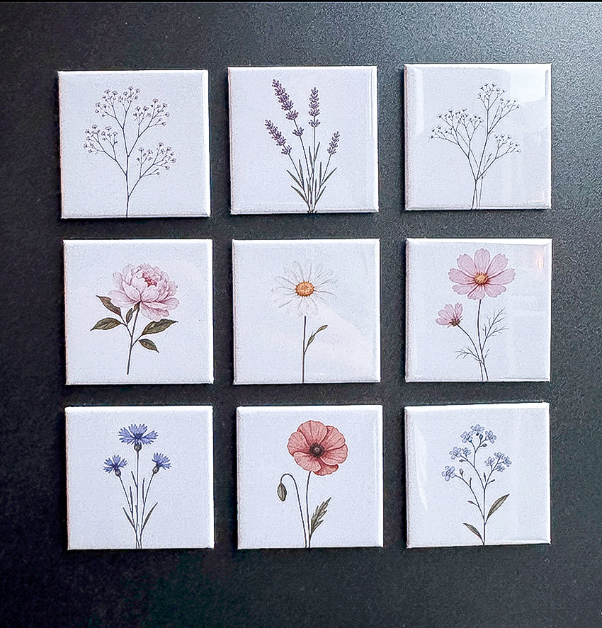 Bloem Cosmea